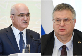 Вице-премьеры РФ и Азербайджана подтвердили готовность двух стран укреплять сотрудничество