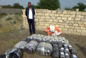 В Азербайджане обнаружено 87 кг наркотиков, доставленных из Ирана, есть задержанный