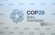 Запущен официальный сайт COP29
