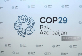 Запущен официальный сайт COP29
