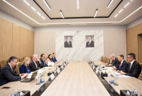 Азербайджан и Евросоюз обсудили развитие Срединного коридора