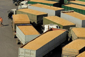 Турция сняла эмбарго на поставки российской пшеницы