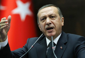 Эрдоган: Территориальная целостность Турции нерушима 