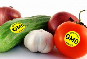 В России запрещено производство ГМО