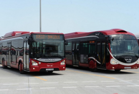 В Баку станет больше автобусов