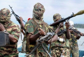 Террористы «Боко Харам» убили более 30 рыбаков