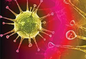 Ученые создали вирус против рака