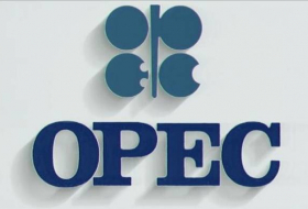 ОПЕК призывает Туркменистан и Египет сократить добычу