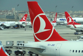 `Турецкие авиалинии` отменили более 400 рейсов