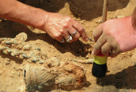 Археологи нашли в Китае более 300 артефакт