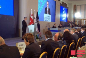 В Тбилиси проводится пленарное заседание весенней сессии ПА НАТО - ФОТО