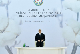 Президент Азербайджана: Мы создаем условия, чтобы можно было хорошо заработать