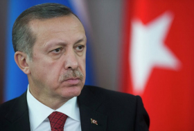 Эрдоган: нет разногласий с РФ по операции `Щит Евфрата`