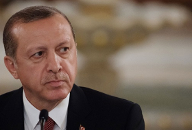 Эрдоган планирует обсудить с Трампом создание безопасной зоны в Сирии