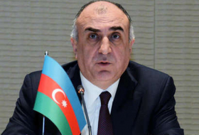 Мамедъяров и  Дункан обсудили карабахскую проблему и TANAP-TAP