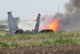 В Индии разбился истребитель МиГ-21

