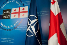 США поддержали членство Грузии в НАТО