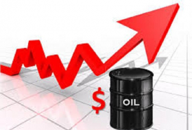 Цена азербайджанской нефти превысила $41 
