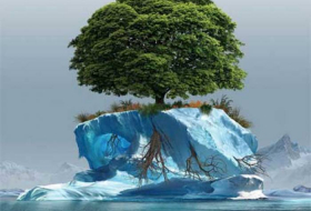 Изменение климата превратит Антарктиду в «зеленый континент»