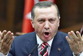 Эрдоган пригрозил ответить на отказ Нидерландов пускать в страну Чавушоглу