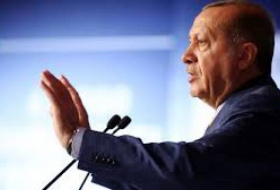Эрдоган раскритиковал требования арабских стран к Катару