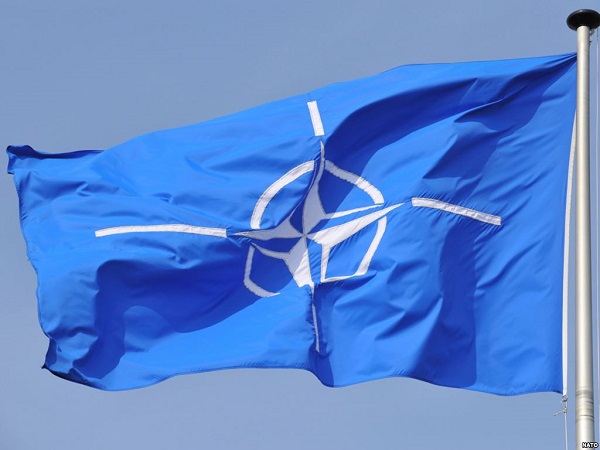 НАТО поддержал позицию Турции