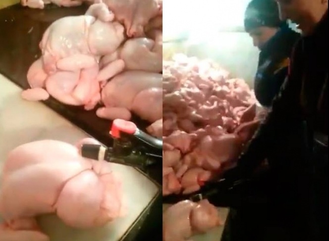 В Азербайджане накачивают куриц - ШОК (Видео)