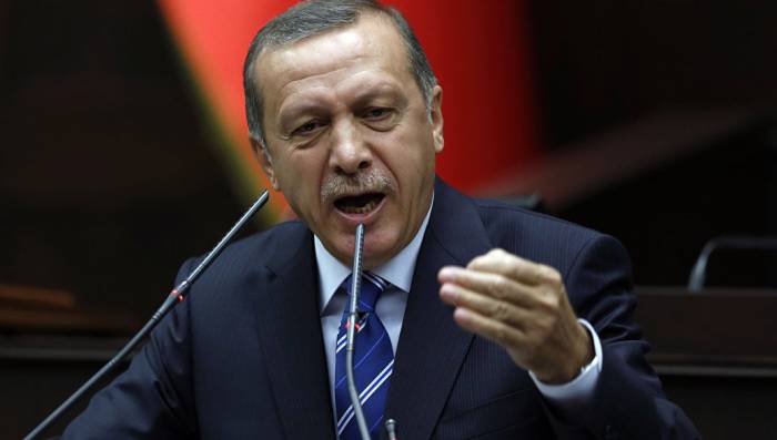 Эрдоган призвал к сохранению чистоты турецкого языка