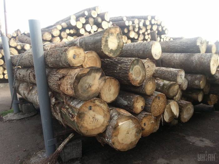 В Одессе задержали грузовик с радиоактивной древесиной
