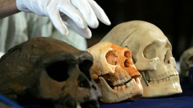 Найденные в Китае черепа опровергли теорию о появлении человека в Африке