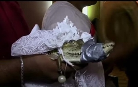 Мэр мексиканского города женился на крокодиле - ВИДЕО