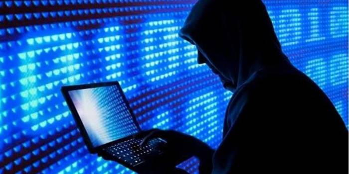 МВД и СГБ Азербайджана задержали киберпреступника