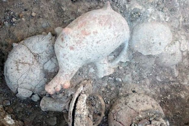 Найдены украденные археологические находки