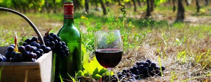 Очередная провокация армян: фестиваль вина в Карабахе