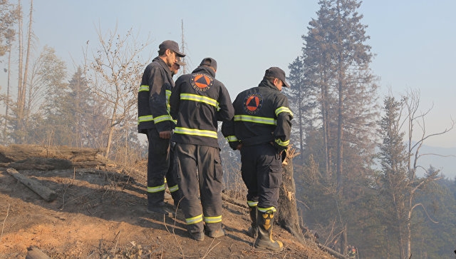 В Грузии ликвидировали лесной пожар