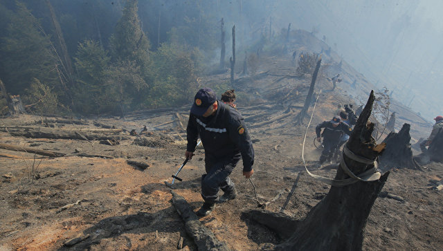Спасатели и пожарные из Азербайджана покидают Боржомское ущелье
