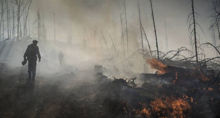 Лесной пожар в Огузе (ОБНОВЛЕНО)