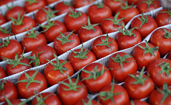 Россельхознадзор разрешает поставку помидоров с 12 предприятий Азербайджана