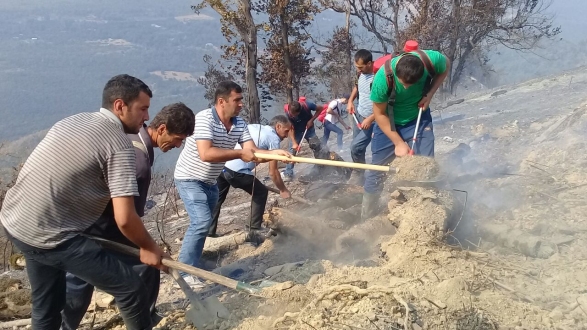 В тушении лесных пожаров в Габале задействованы более 850 человек (ФОТО)