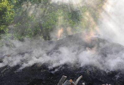 Лесные пожары в Габале полностью потушены