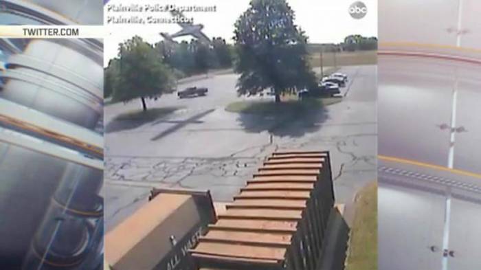 В штате Коннектикут самолет приземлился на дерево (ВИДЕО)