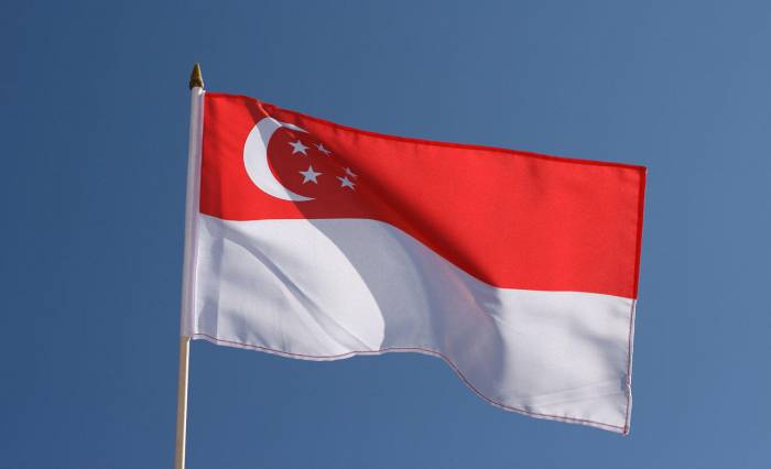 Женщина впервые стала президентом Сингапура