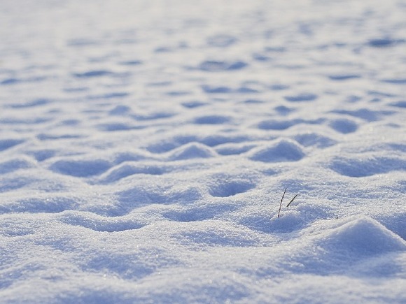 В некоторых районах выпал снег высотой 17 см - ФОТО