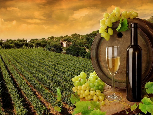 Азербайджан намерен увеличить экспорт вина в Китай