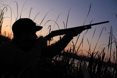В Билясуваре оштрафованы любители незаконной охоты