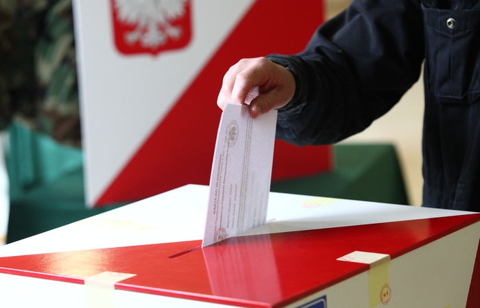 Выборы в органы местного самоуправления проходят в Грузии