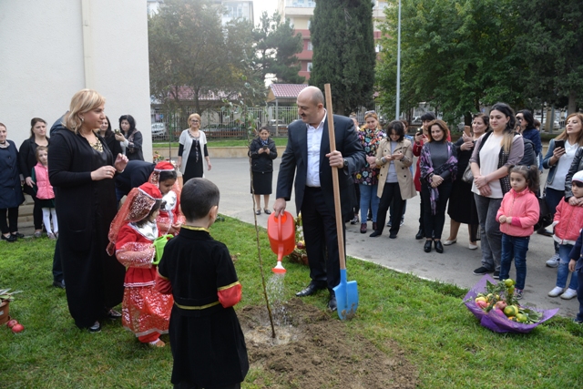 В Насиминском районе Баку посадили более 1000 деревьев