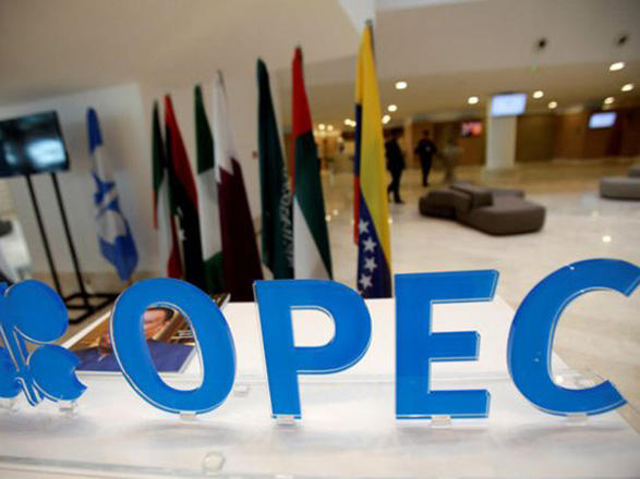 ОПЕК прогнозирует стабильный уровень добычи нефти в Азербайджане