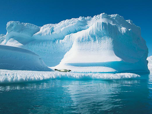 Туристам в Арктике запретили запускать дроны