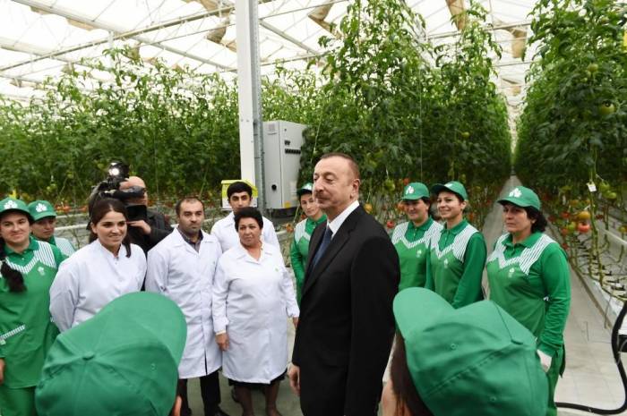 Ильхам Алиев: Экспортные возможности Азербайджана увеличатся в разы